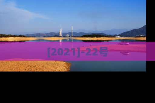 [2021]-22号