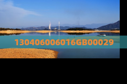 130406006016GB00029