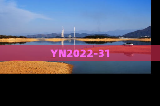 YN2022-31