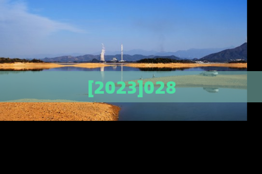 [2023]028