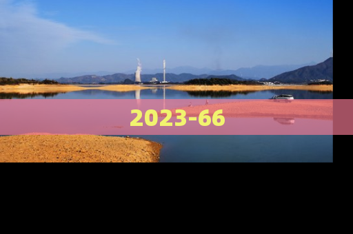 2023-66