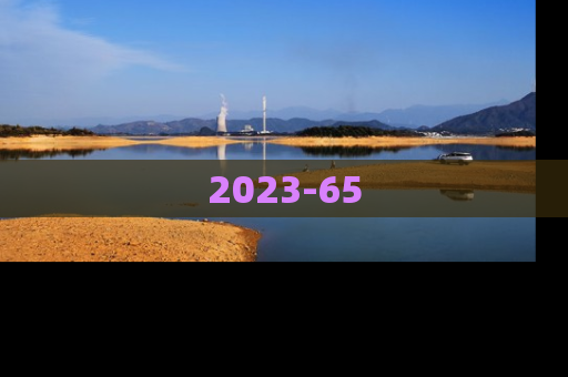 2023-65