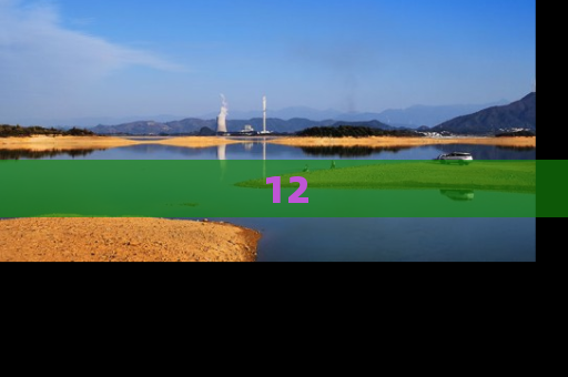 12