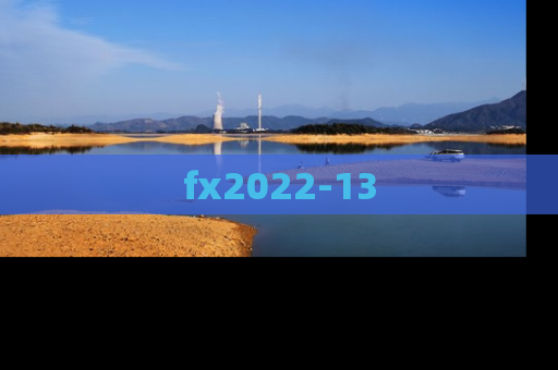 fx2022-13