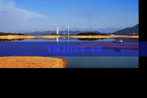 YN2024-49