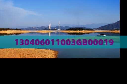 130406011003GB00019