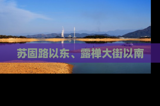 苏固路以东、露禅大街以南