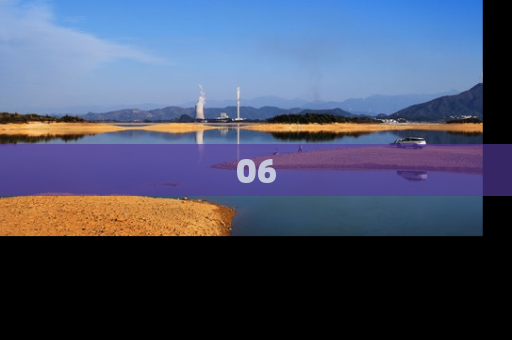 06