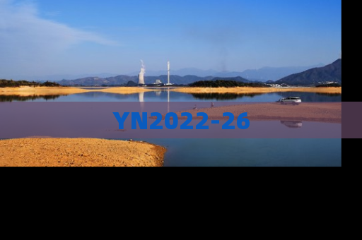 YN2022-26