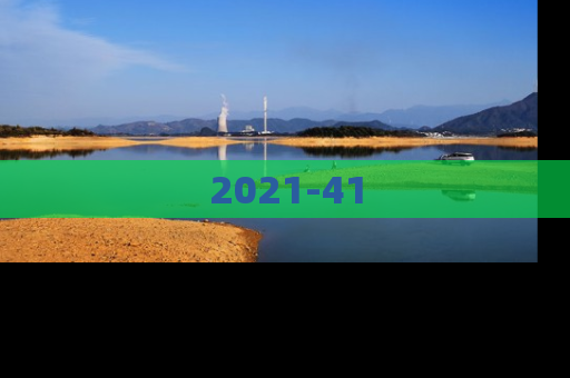 2021-41