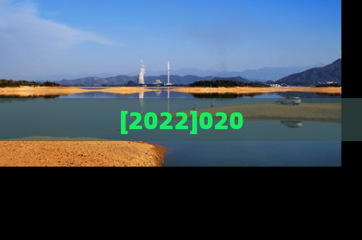 [2022]020
