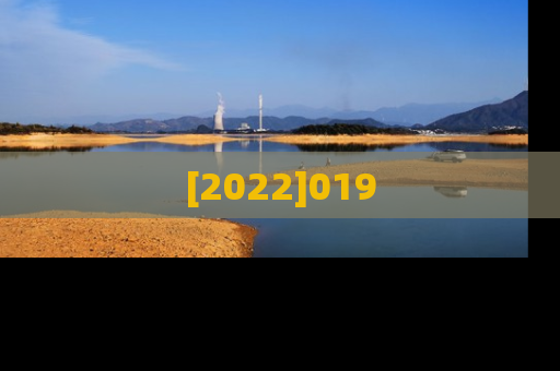 [2022]019