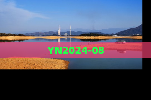 YN2024-08