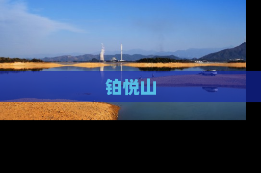 铂悦山