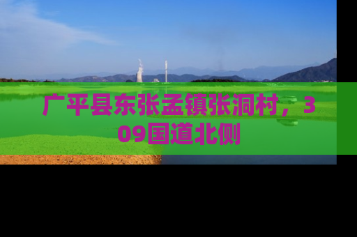 广平县东张孟镇张洞村，309国道北侧