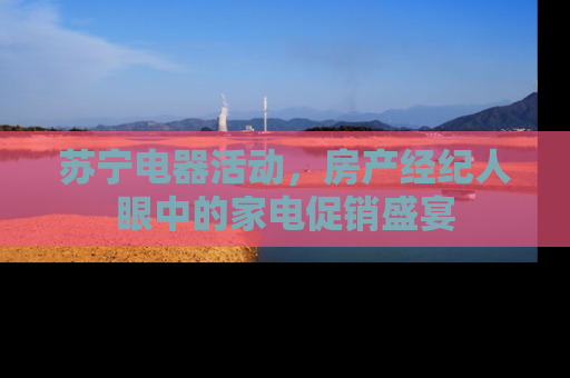 苏宁电器活动，房产经纪人眼中的家电促销盛宴