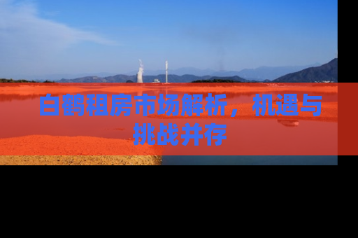 白鹤租房市场解析，机遇与挑战并存