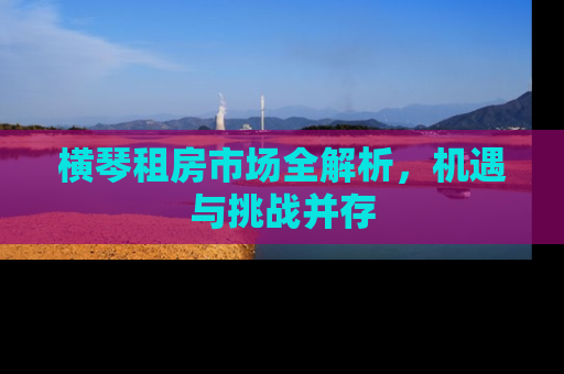 横琴租房市场全解析，机遇与挑战并存