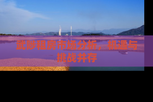 武陟租房市场分析，机遇与挑战并存