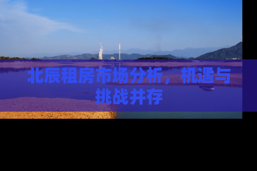 北辰租房市场分析，机遇与挑战并存