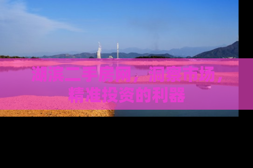 湖滨二手房网，洞察市场，精准投资的利器