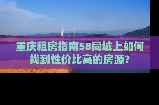 重庆租房指南58同城上如何找到性价比高的房源？