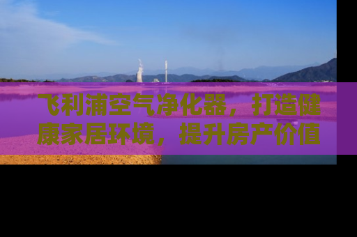 飞利浦空气净化器，打造健康家居环境，提升房产价值