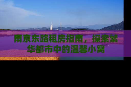 南京东路租房指南，探索繁华都市中的温馨小窝