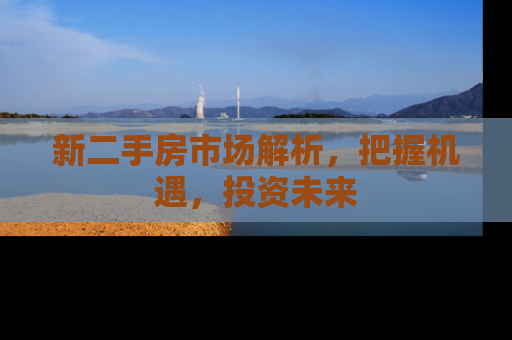 新二手房市场解析，把握机遇，投资未来