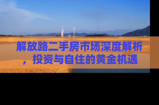 解放路二手房市场深度解析，投资与自住的黄金机遇