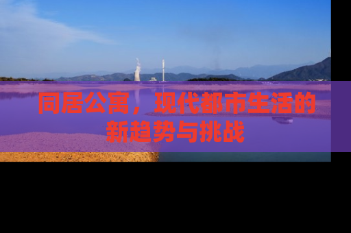 同居公寓，现代都市生活的新趋势与挑战