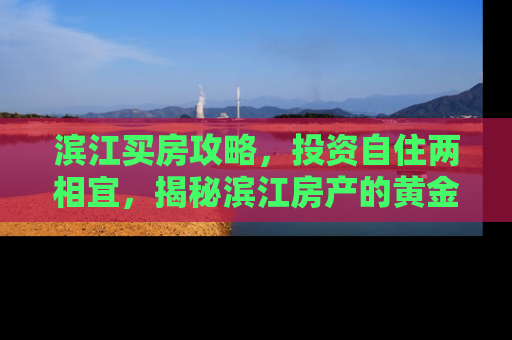 滨江买房攻略，投资自住两相宜，揭秘滨江房产的黄金价值