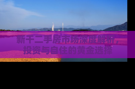 新干二手房市场深度解析，投资与自住的黄金选择