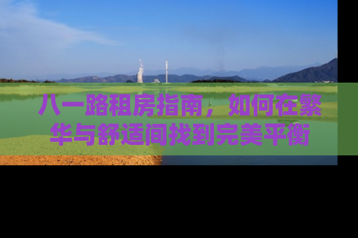 八一路租房指南，如何在繁华与舒适间找到完美平衡
