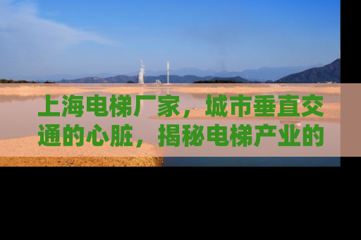 上海电梯厂家，城市垂直交通的心脏，揭秘电梯产业的创新与发展