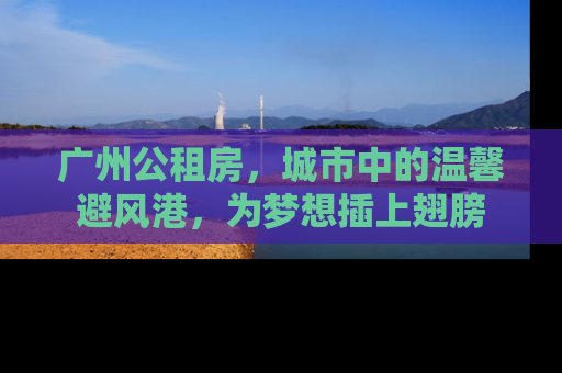 广州公租房，城市中的温馨避风港，为梦想插上翅膀