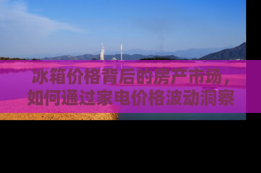冰箱价格背后的房产市场，如何通过家电价格波动洞察房地产市场趋势