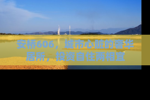 安桥606，城市心脏的奢华居所，投资自住两相宜