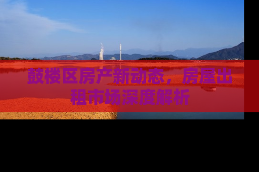 鼓楼区房产新动态，房屋出租市场深度解析