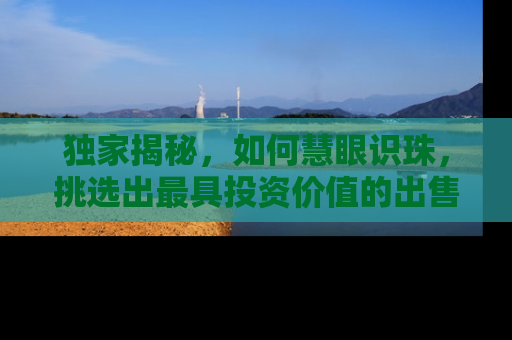 独家揭秘，如何慧眼识珠，挑选出最具投资价值的出售房源