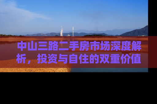 中山三路二手房市场深度解析，投资与自住的双重价值