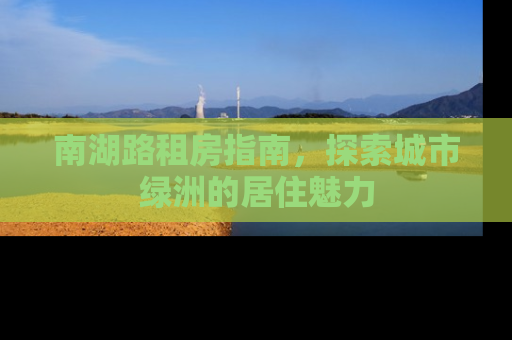南湖路租房指南，探索城市绿洲的居住魅力
