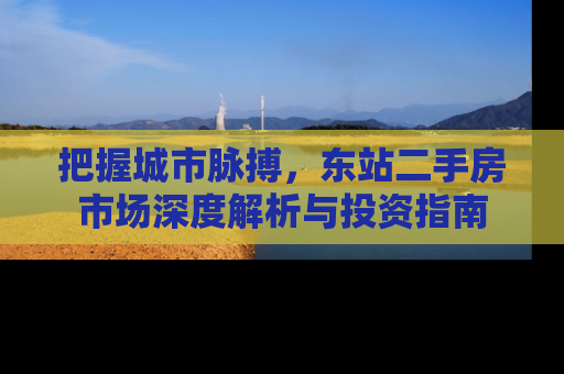 把握城市脉搏，东站二手房市场深度解析与投资指南