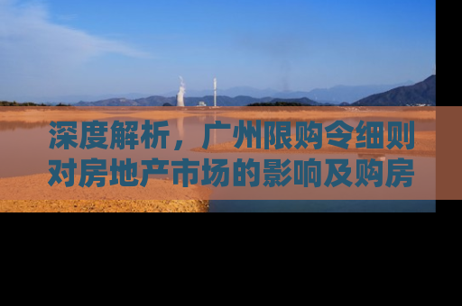 深度解析，广州限购令细则对房地产市场的影响及购房者应对策略