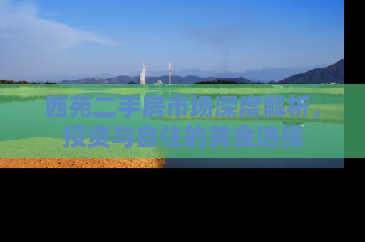 西苑二手房市场深度解析，投资与自住的黄金选择