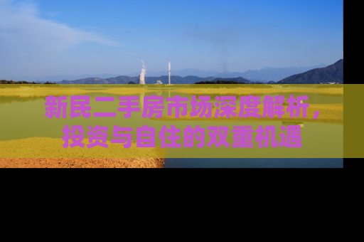 新民二手房市场深度解析，投资与自住的双重机遇