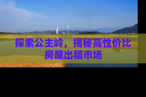 探索公主岭，揭秘高性价比房屋出租市场