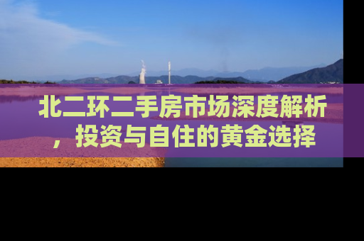 北二环二手房市场深度解析，投资与自住的黄金选择