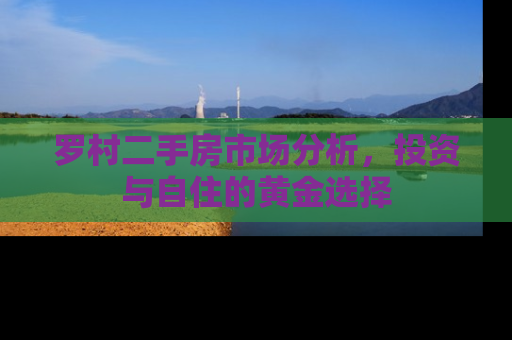 罗村二手房市场分析，投资与自住的黄金选择