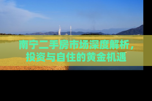 南宁二手房市场深度解析，投资与自住的黄金机遇